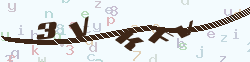 verify_code
