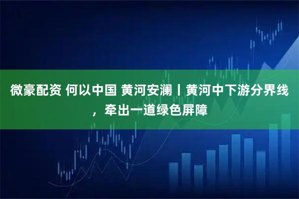 微豪配资 何以中国 黄河安澜丨黄河中下游分界线，牵出一道绿色屏障