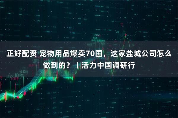 正好配资 宠物用品爆卖70国，这家盐城公司怎么做到的？丨活力中国调研行