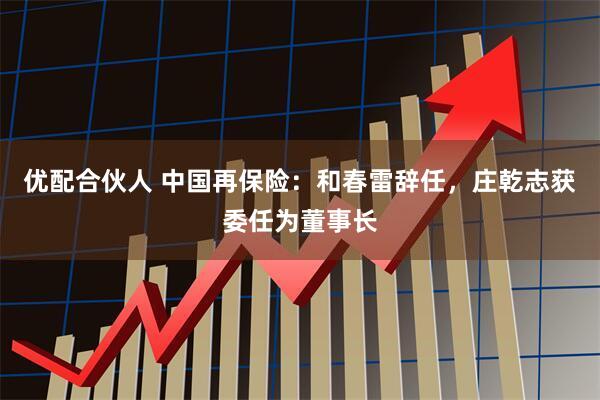 优配合伙人 中国再保险：和春雷辞任，庄乾志获委任为董事长