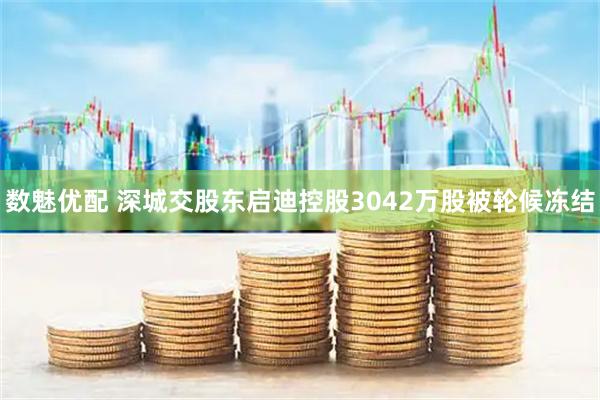 数魅优配 深城交股东启迪控股3042万股被轮候冻结