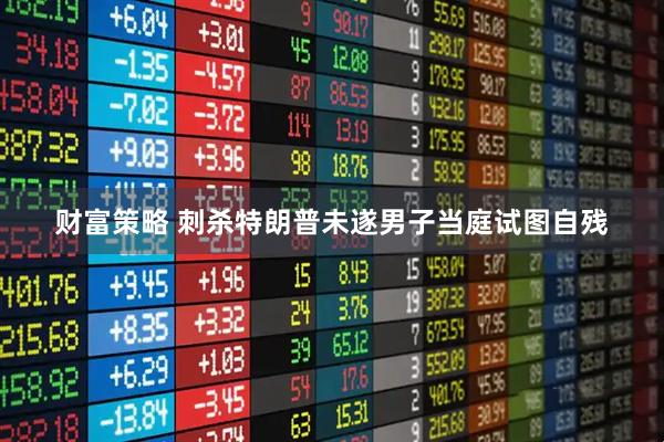 财富策略 刺杀特朗普未遂男子当庭试图自残