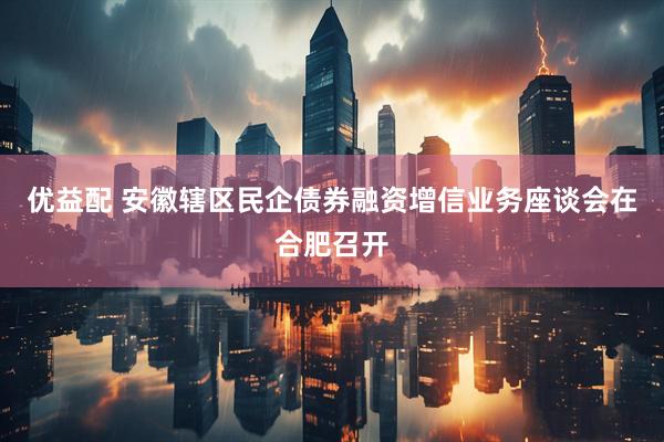 优益配 安徽辖区民企债券融资增信业务座谈会在合肥召开