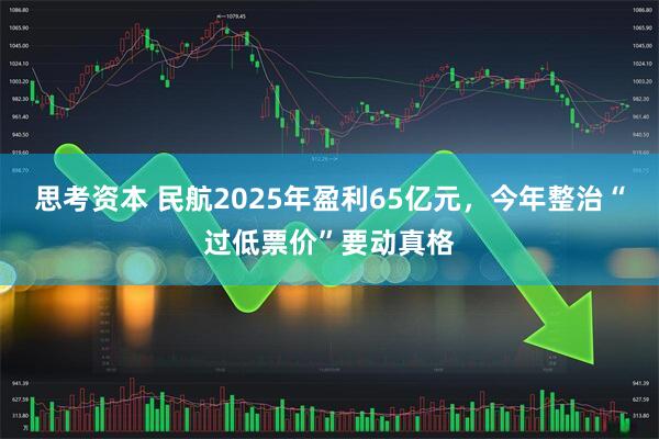 思考资本 民航2025年盈利65亿元，今年整治“过低票价”要动真格