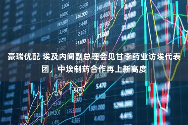 豪瑞优配 埃及内阁副总理会见甘李药业访埃代表团，中埃制药合作再上新高度