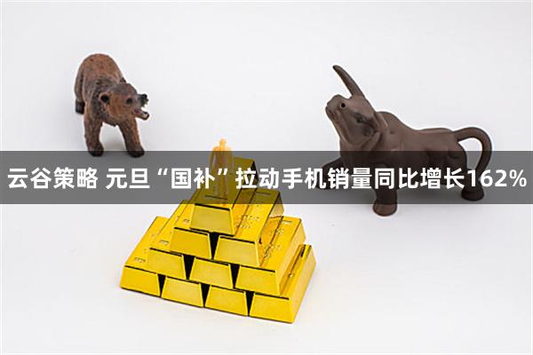 云谷策略 元旦“国补”拉动手机销量同比增长162%