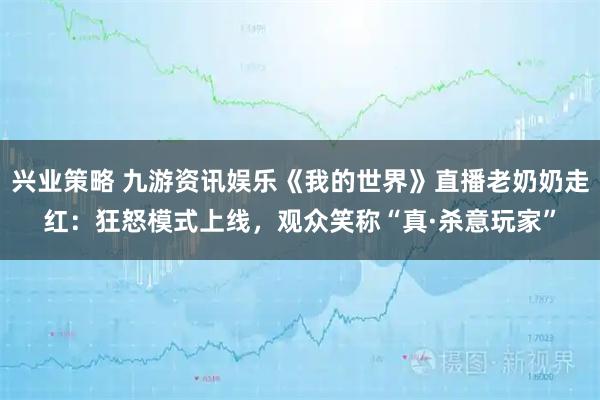 兴业策略 九游资讯娱乐《我的世界》直播老奶奶走红：狂怒模式上线，观众笑称“真·杀意玩家”